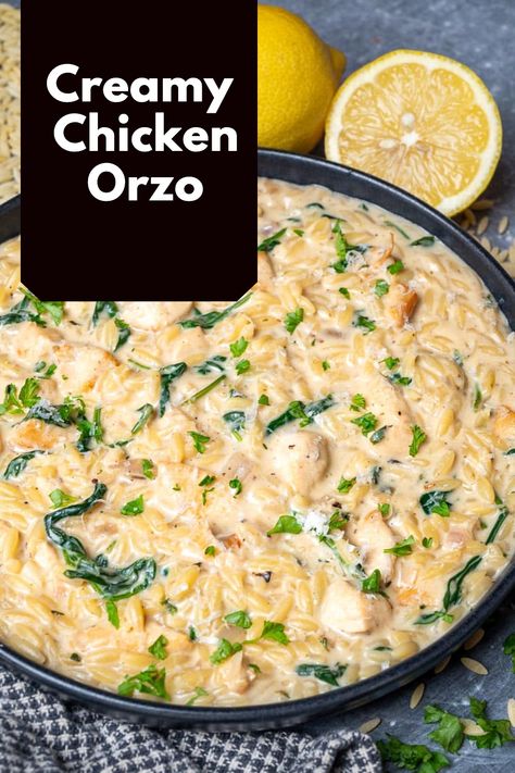 This creamy chicken orzo is a cheesy, velvety one-pot dish that’s comfort food at its best. It has tender chicken and orzo smothered in a creamy Parmesan sauce and you can have it on the table in 30 minutes! Orzo With Chicken Broth, Cream Of Chicken Orzo Recipes, Chicken Alfredo Orzo, Chicken And Orzo Recipes One Pot, Orzo Alfredo, One Pot Orzo Recipes, Chicken And Orzo Recipes, Orzo Recipes With Chicken, Chicken Orzo Recipes