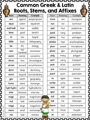 greek and latin word roots and stems Root Words Activities, Latin Root Words, Suffixes Worksheets, Teaching Latin, Text Structures, Latin Language, Prefixes And Suffixes, Latin Phrases, Latin Word