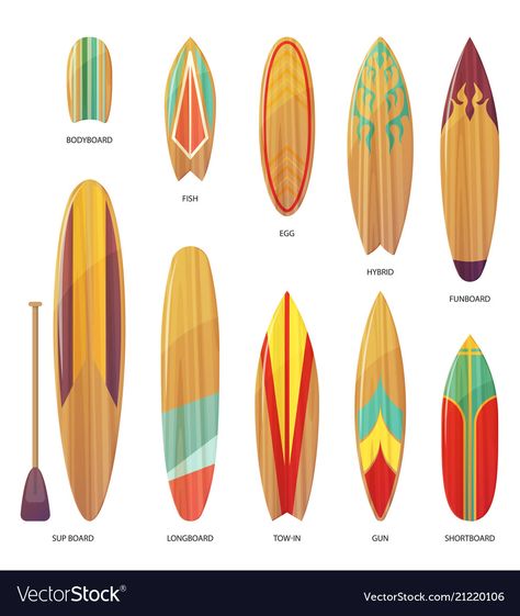 Types Of Surfboards, Pc Illustration, Ancient Paper, Wooden Surfboard, Surfboard Wall, Cloud Vector, Surfboard Art, Surfboard Design, Infographic Design Inspiration