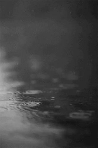 Rain GIF - Rain - Discover & Share GIFs Jim Harrison, Rain Gif, Cold Rain, I Love Rain, Love Rain, Rainy Night, Water Ripples, Aesthetic Gif, Rain Drops