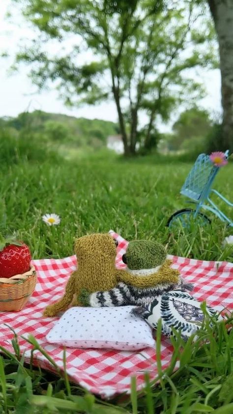 India Rose Crawford, India Rose Crawford Videos, Frog And Toad Knitting Pattern Free, Cute Frogs Crochet, Knitted Frog, Crochet Projects Frogs, Frogging In Knitting, Crochet Frog With Clothes, Luv Letter