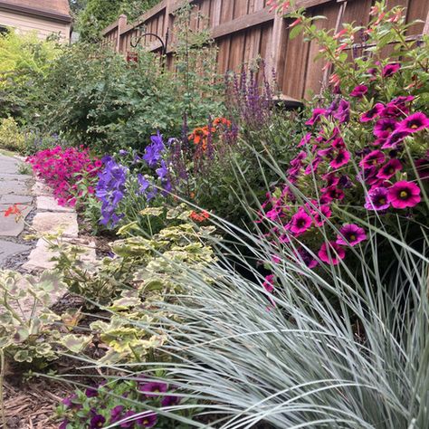 Today we’re in Minneapolis, visiting Arianne Baldomero’s garden. This is a garden filled with flowers and lots of color. In this view, balloon flower (Platycodon grandiflorus, Zones 3–8) takes the […] The post Zone 4b Minneapolis Garden appeared first on FineGardening. Platycodon Grandiflorus, Minnesota Garden, Perennial Garden Design, Fine Gardening Magazine, Fall Bulbs, Perennial Border, Yellow Daffodils, Fine Gardening, Garden Photography