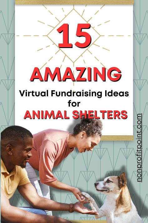 15 Amazing Virtual Fundraising Ideas for Animal Shelters l Fundraising ideas for Animal Nonprofits Dog Fundraising Ideas, Dog Rescue Fundraising Ideas, Animal Fundraiser, Ideas For Fundraising, Creative Fundraising Ideas, Animal Shelter Donations, Animal Shelter Fundraiser, Animal Rescue Fundraising, Dog Fundraiser