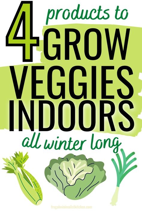 4 products to grow veggies indoors all winter long Growing Greens Indoors, How To Grow Green Onions Indoors, Indoor Lettuce Garden, Apartment Farming, Hydroponic Gardening Indoor, Growing Veggies Indoors, Indoor Food Garden, Indoor Veggie Garden, Grow Vegetables Indoors