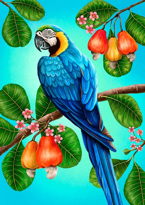 Digital painting by Grazi Barth - all rights reserved Parrot Painting, Tropical Painting, Butterfly Art Painting, Bird Pictures, Illustration Digital, Butterfly Art, Silk Painting, Painting Crafts, All Rights Reserved