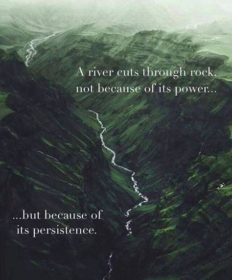 @riskhappy on Instagram: ““If I had to select one quality, one personal characteristic that I regard as being most highly correlated with success, whatever the…” Quotes About Persistence, Successful Life Quotes, Refresh Quotes, Cleaning Aesthetic, Lake Quotes, Biblical Scriptures, Literary Love Quotes, Wellness Motivation, Action Quotes