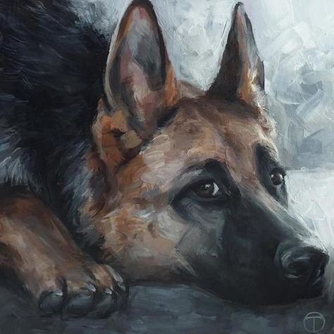 German Shepard Paintings, German Shepherd Acrylic Painting, Acrylic Dog Portraits, German Shepherd Watercolor Paintings, German Shepherd Painting, Painting Dogs, German Shepherd Art, Dog Portraits Painting, Shadow Painting