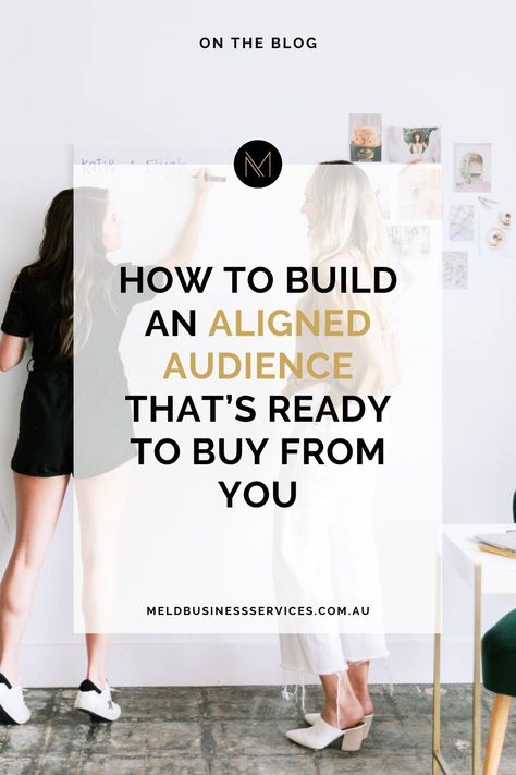 Converting the right kind of ideal client is all about attracting the right ones in the first place. Here's my tips on building an aligned audience that's ready to buy from you. Ideal Client Avatar, Core Beliefs, Who You Love, Business Services, Email Marketing Strategy, Lead Magnet, Ideal Client, Profitable Business, First Place