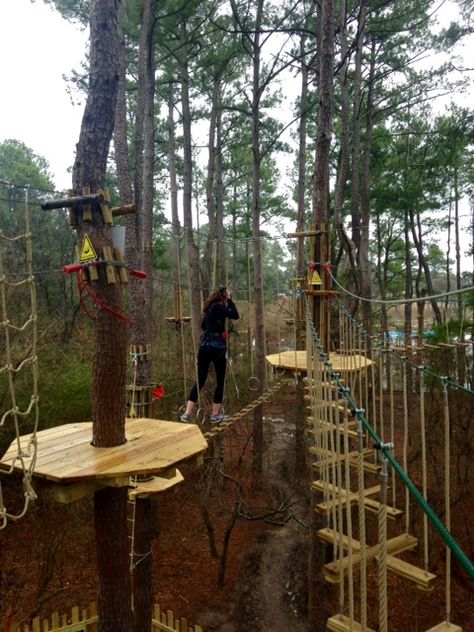 Adult Playground, Go Ape, Tree Fort, Ropes Course, Backyard Playground, Nature Play, Adventure Park, Tree Tops, Paintball