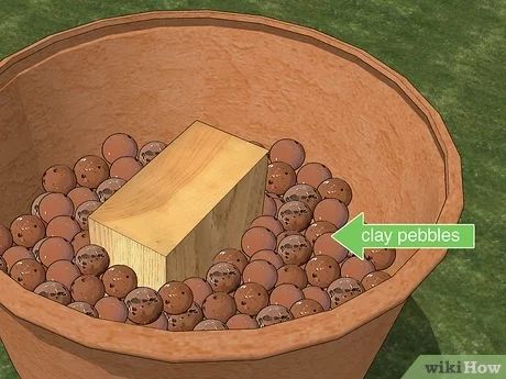 How to Fill a Tall Planter (with Pictures) - wikiHow Planting Tall Planters, Plants In Tall Planters, How To Fill A Tall Planter Front Porches, How To Fill Tall Planters Flower Pots, Tall Pots With Plants Outdoor, Planting In Large Planters, Planting Large Pots Outdoor Planters, How To Fill Deep Planters, What To Fill Large Planters With