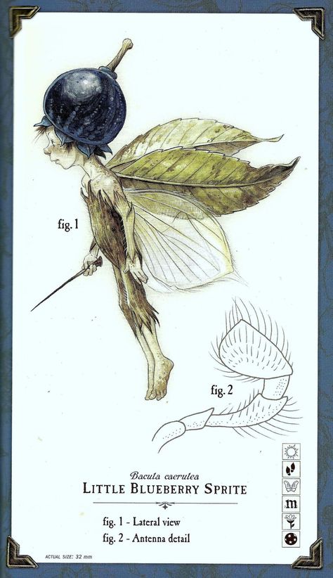 Care and Feeding of Sprites | Spiderwick Chronicles Wiki | Fandom Care And Feeding Of Sprites, Forest Sprite Art, Arthur Spiderwick, Tony Diterlizzi, Spiderwick Chronicles, Fairy Drawings, Holly Black, Flower Fairies, Mythical Creatures Art