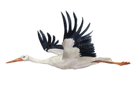 Fly Drawing, Stork Bird, Background For Design, White Crane, Muster Tattoos, Fused Glass Artwork, Watercolor Paintings Tutorials, White Bird, Bird Illustration