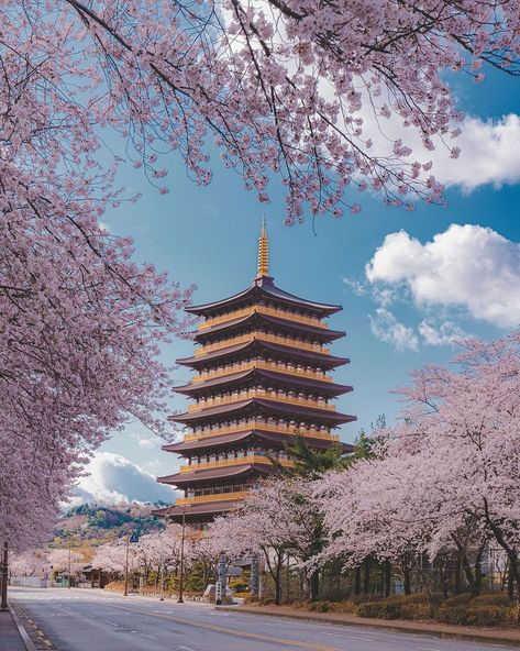 Seoul Travel Guide on Instagram: “Did you know that Hwangnyongsa Temple belongs to the Gyeongju Historic Areas, designated as a UNESCO World Heritage Site in 2000?😍 🏷Tag…” South Korea Culture, Seoul Travel Guide, South Korea Photography, Seoul Travel, Gyeongju, Top Places To Travel, South Korea Travel, Korea Travel, Food Tips