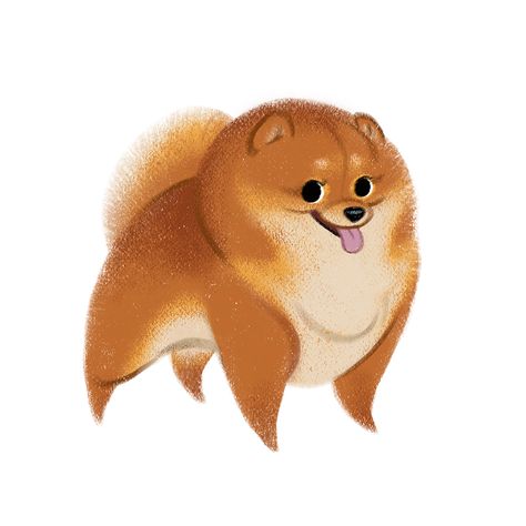 Pom poms! 🌟. #illustration #drawing #illustrator #sketch #art #artistsofinstagram #artistsoninstagram #dog #pomeranian #pomeraniansofinstagram #character #characterdesign #photoshop #photoshoppainting #digitalart #digitalpainting #digitalillustration #puppy Pomeranian Pictures, Dogs Sketch, Dogs Drawing, Dog Pomeranian, Pomeranian Dogs, Illustrator Sketch, Dog Tumblr, Procreate Watercolor, Dogs Diy Projects