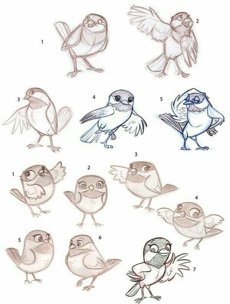 Cartoon Bird Drawing, Bird Cartoon Character, Bird Cartoon, Some Drawings, Bird Sketch, Cartoon Birds, Drawing Cartoon Characters, Cartoon Sketches, Comic Drawing