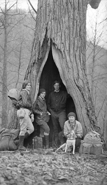 My fascination with hollow trees began when I watched Sam Gribley set up camp inside one in the film adaptation of My Side of the Mountain… Appalachian People, American Chestnut, Hollow Tree, Antique Photography, Wilde Westen, Into The West, Chestnut Trees, Giant Tree, The Great