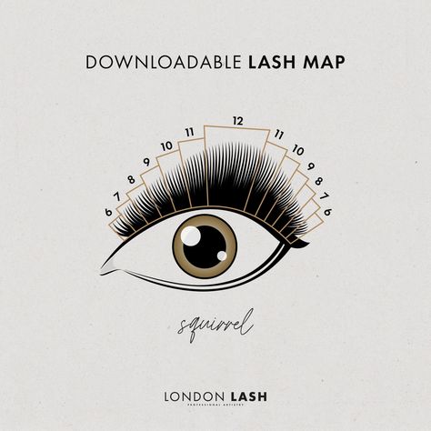 Squirrel Eye Lash Extensions, Squirrel Eyelash Mapping, Squirrel Lash Map, Squirrel Lashes, Squirrel Eyelash Extensions, Squirrel Lash Extensions, Lashes Map, Eye Mapping, Lashes Mapping