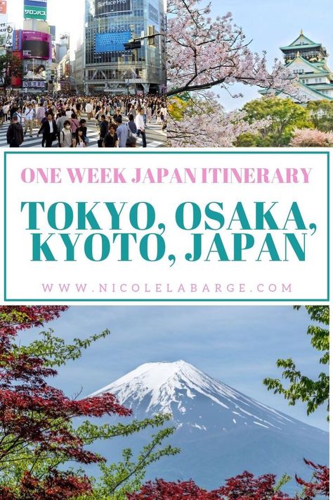 5 Day Japan Itinerary, Tokyo Osaka, Tokyo Trip, Day Trips From Tokyo, Japan Itinerary, Japan Vacation, Trip To Japan, Japan Travel Tips, Japan Kyoto