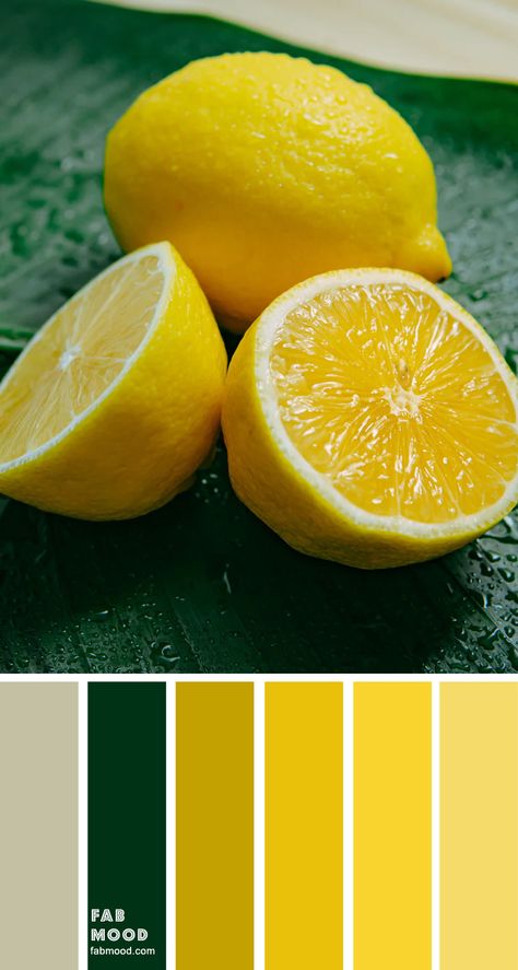 Color inspiration images Archives 9 - Fab Mood | Wedding Colours, Wedding Themes, Wedding colour palettes Lemon Colour Palette, Light Yellow Color Combinations, Lemon Palette, Lemon Color Palette, Lemon Green Color, Taupe Color Schemes, Lemon Green Colour, Wedding Colour Palettes, Taupe Color Palettes