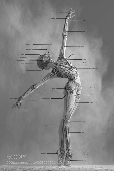 Ballet Body Reference, Ballerina Anatomy, Scary Ballerina, Ballerina Reference, Evil Ballerina, Ballet Reference, Punk Ballerina, Ballerina On Stage, Dance Anatomy