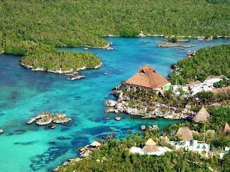 15 Best Things To Do In Akumal, Mexico [Updated] | Trip101 Xel Ha Mexico, Xel Ha, Akumal Mexico, Mexico Photos, Mayan Riviera, Riviera Maya Mexico, Ancient Mayan, Mayan Ruins, Mexico Vacation