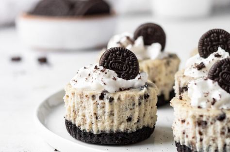 Mini Cookies and Cream Cheesecakes Cup Deserts, Mini Oreo Cheesecake Bites, Oreo Cheesecake Bites, Mini Oreo Cheesecake, Cream Cheese Oreo, Mini Cheesecake Bites, Graham Cookies, Cookies And Cream Cheesecake, Mini Cheesecake Recipes