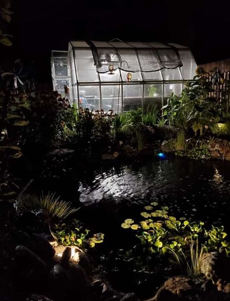 Pond and Greenhouse at night Greenhouse At Night, Green House, At Night, Green, Quick Saves