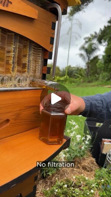 721K views · 40K likes | Flow® Hive on Instagram: "We always get asked ‘Do you need to filter the honey as you harvest?’ Watch as the honey flows straight from the hive into your jar.  🐝Want to learn more about bees and beekeeping? 🌿 Join us for our weekly Live beekeeping Q&A with Cedar, Wednesday at 10am AEDT (Tuesday, 3pm PT) Countdown in stories⏰  Whether you’re a seasoned beekeeper or just bee-curious, we’d love to see you there! Get your questions ready 🐝 💛  #flowhive #beeeducation #liveqanda" Flow Hive Beekeeping, Honey Bees Keeping, Harvesting Honey, Flow Hive, Honey Farm, Honey Bee Hives, Bee Hives, Bee Farm, The Hive