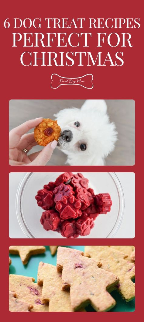 Best Dog Treat Recipes, Diy Dog Treats Christmas, Chewy Dog Treat Recipes, Christmas Cookies For Dogs Recipe, Winter Dog Treats Homemade, Xmas Dog Treats, Homemade Dog Christmas Treats, Homemade Dog Christmas Gifts, Dog Treat Christmas Gifts