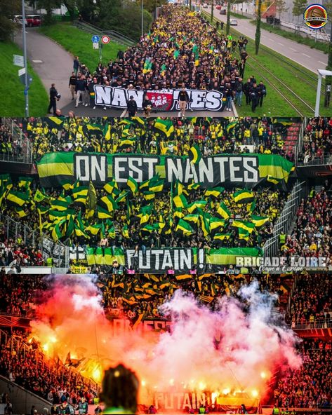 Fc Nantes, Football Match, Football Club, Football, Collage, Pins, Quick Saves, American Football, Nantes