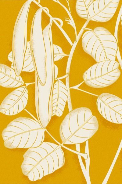 The Carob - Mediterranean Illustration #graphic #design Mediterranean Illustration, Mediterranean Vibes, Fashion Trend Forecast, Mediterranean Design, Illustration Graphic Design, Trend Forecasting, Illustrations And Posters, Malta, Fashion Trend