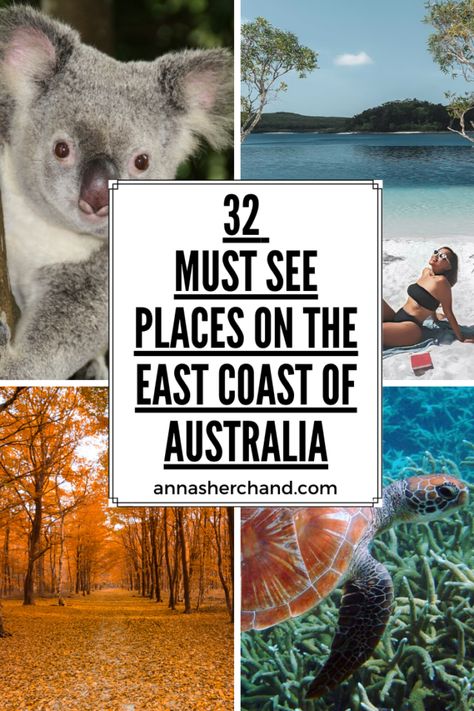 32 exciting must-see places on the east coast of Australia - Anna Sherchand East Coast Australia, Roadtrip Australia, Australian Road Trip, Traveling Ideas, New Zealand Adventure, Nz Travel, Australia Itinerary, Australia Backpacking, Australia Vacation