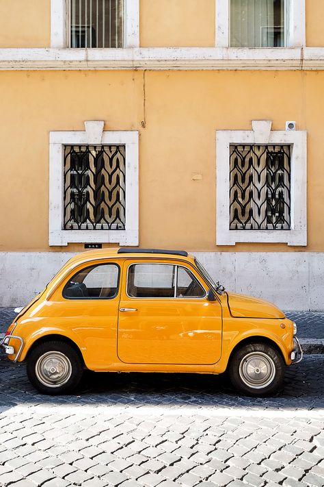 Yellow Fiat 500, Yellow Color Aesthetic, Colourful Photos, Yellow Pictures, Yellow Stuff, Yellow Things, Yellow Photography, Photography Inspiration Nature, Yellow Nature