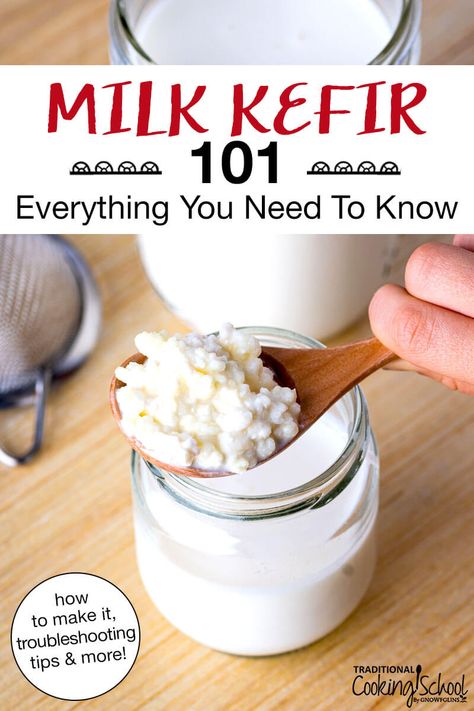 Fermented Recipes, Milk Kefir Grains, Water Kefir Grains, Kefir Yogurt, Homemade Milk, Fermented Milk, Kefir Recipes, Kefir Grains, Gut Healing Recipes