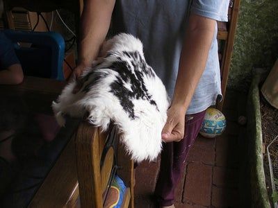 Fur Crafts, Fur Projects, Homestead Projects, Raising Rabbits For Meat, Tanning Hides, Rabbit Hide, How To Tan, Rabbit Farm, Meat Rabbits