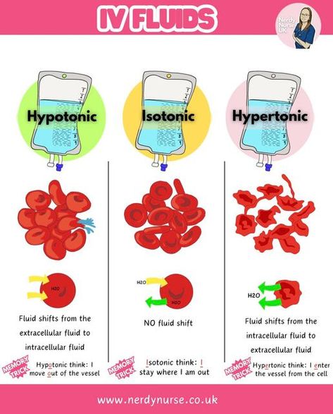 Lauren - Nursing made easy on Instagram: "Understanding IV Fluids: Hypotonic, Isotonic, and Hypertonic Solutions for Student Nurses  1. Isotonic Fluids What They Are: - Isotonic fluids have the same osmolarity as blood plasma (about 275-295 mOsm/L). - They expand the extracellular fluid (ECF) without causing a shift in fluid between compartments.  Common Examples: - 0.9% Sodium Chloride (Normal Saline) - Hartmanns solution - 5% Dextrose in Water (D5W) - initially isotonic, but becomes hypotonic as dextrose is metabolized  Uses: - To treat dehydration - To replace fluid losses (e.g., haemorrhage, surgery) - To maintain fluid balance during surgery  2. Hypotonic IV Fluids What They Are: - Hypotonic fluids have a lower osmolarity than blood plasma (<275 mOsm/L). - They cause water to move int Fluid Electrolyte Balance Nursing, Fluid Balance Nursing, Fluid Volume Deficit Nursing, Isotonic Hypotonic Hypertonic, Iv Solutions, Extracellular Fluid, Nerdy Nurse, Medical Study, Nursing Study Guide