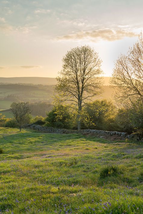 Land With Trees, Modern Farm Aesthetic, House On Land, English Fields, English Vibes, Land Aesthetic, Bohemian Quotes, English Farmhouse, Green Land