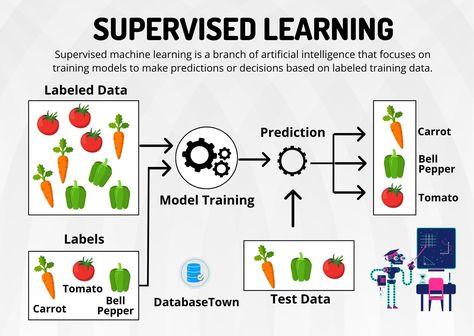 Supervised Learning: Algorithms, Examples, and How It Works Supervised Machine Learning, Cloud Computing Technology, Programming Humor, Supervised Learning, Data Science Learning, Learn Computer, Learn Computer Coding, Science Learning, Computer Basic