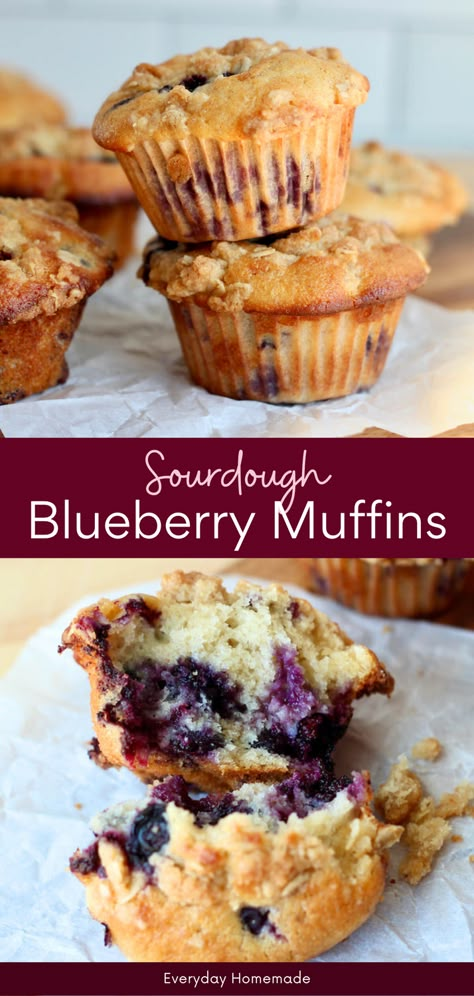 Discover the ultimate summer treat with Sourdough Blueberry Muffins! This easy recipe uses sourdough discard or active starter for quick and easy homemade muffins that make the most of seasonal produce. Packed with fresh or frozen blueberries, these muffins are moist, tender, and oh-so-sweet. Topped with an irresistible oat streusel crumble, they're perfect for breakfast, brunch, or a sweet snack. Enjoy the classic taste of homemade muffins - fluffy, soft, and bursting with flavor! Sourdough Active Starter Recipes, Active Sourdough Recipes, Sourdough Discard Blueberry Muffins, Oat Streusel Topping, Sourdough Blueberry Muffins, Sourdough Blueberry, Homemade Sourdough Bread Recipes, White Grape Juice, Sourdough Muffins