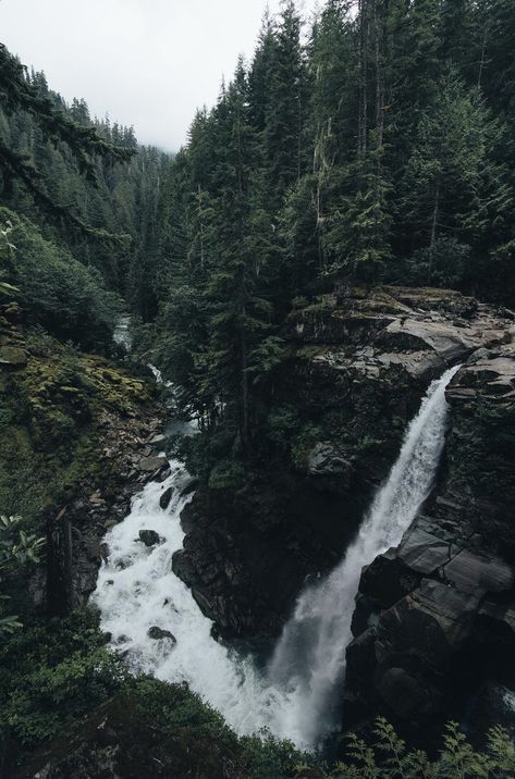 Crafts Nature, Nature Waterfall, Dark Forest Aesthetic, Forest Waterfall, Harry Potter Movie, The Borgias, Forest Aesthetic, Movie Mistakes, Beauty Flowers