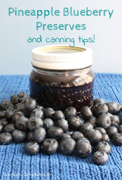 Blueberry Lemon Jam, Pineapple Preserves, Blueberry Preserves, Lemon Jam, Easy Canning, Canning Jam, Blueberry Coffee Cake, Canning Tips, Homemade Waffles