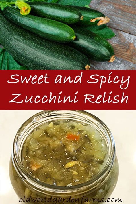 Sweet And Spicy Zucchini Relish, Zucchini Relish Recipes, Spicy Zucchini, Zucchini Zoodles, Zucchini Relish, Zucchini Sticks, Pickle Recipes, Relish Recipe, Canning Pickles