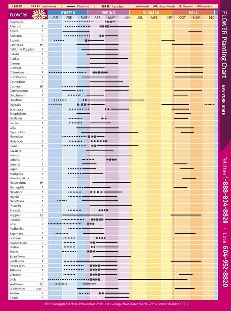 Flower Planting Chart New York State Zone 9 Planting Schedule Flowers, Fall Planting Guide, Vegetable Planting Calendar, Planting Schedule, Vegetable Planting Guide, When To Plant Vegetables, Planting Calendar, When To Plant, Plant Zones