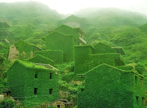 x Kudzu is an invasive species of vine that spreads and grows over vegetation and structures When left unchecked this happens - Photorator Gokayama, Zhoushan, Hilly Landscape, Abandoned Village, Socotra, Green Ivy, Nordland, Beaux Villages, Fishing Villages