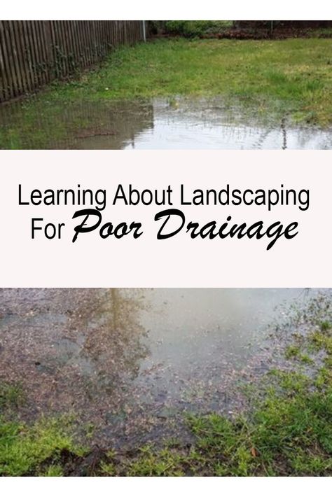 Outside Drainage Solutions, Backyard Water Runoff Ideas, Dry Riverbed Landscaping Backyards, Water Drainage Ideas Yards Diy, Pool Overflow Drainage, French Drain Ideas Landscapes, River Bed For Drainage, Drainage Rock Landscaping, Dry River Bed Drainage