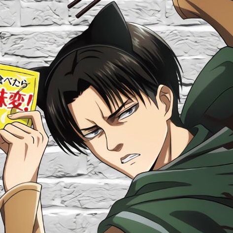 Levi Cat, Cute Levi, Levi Ackermann, Cat Icon, Attack On Titan Levi, Levi Ackerman, Cat Ears, My Boy, Attack On Titan