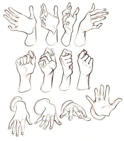 Hand Reference Front View, Closed Fist Reference, Hand Gripping Reference, Hand On Cheek Reference, Drawing Hands, Hand Gestures, Hand Drawing Reference, Anatomy Sketches, Hand Reference