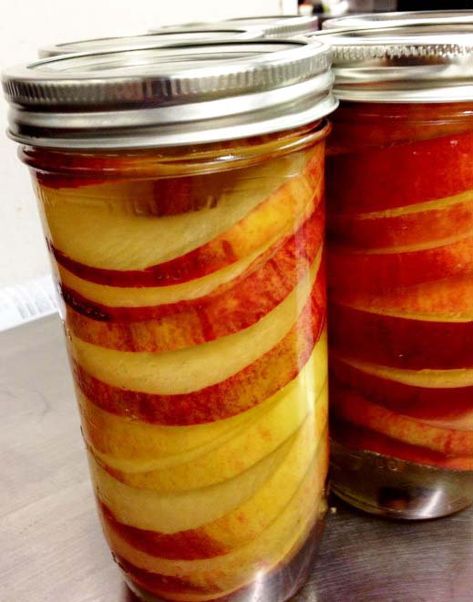 How to make easy spiced-apple rings - Chatelaine.com Canning Cinnamon Apple Slices, Apple Pickles Recipe, Spiced Apples Canning, Pickled Apples Slices, Spiced Apple Rings, Spiced Apples Recipe, Apple Recipes For Canning, Pickled Apples, Pickled Vegetables Recipe