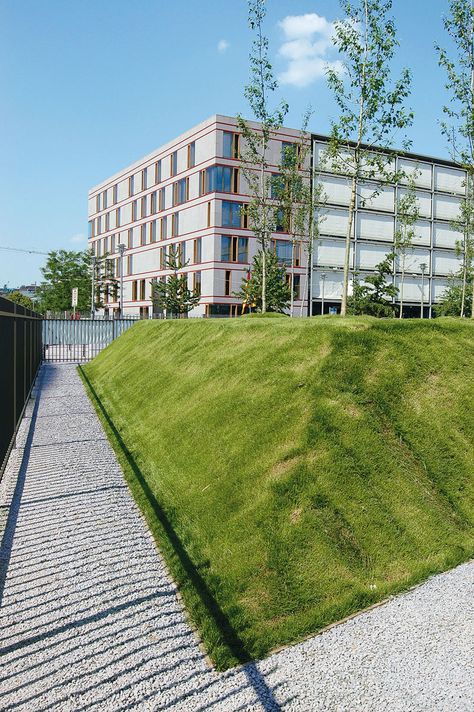 Garden at the Representation of Hesse in Berlin House Garden Landscape, Tree Plan, Landform, Sloped Garden, Stone Walkway, Landscape Architects, Traditional Landscape, Garden Landscape, House Garden