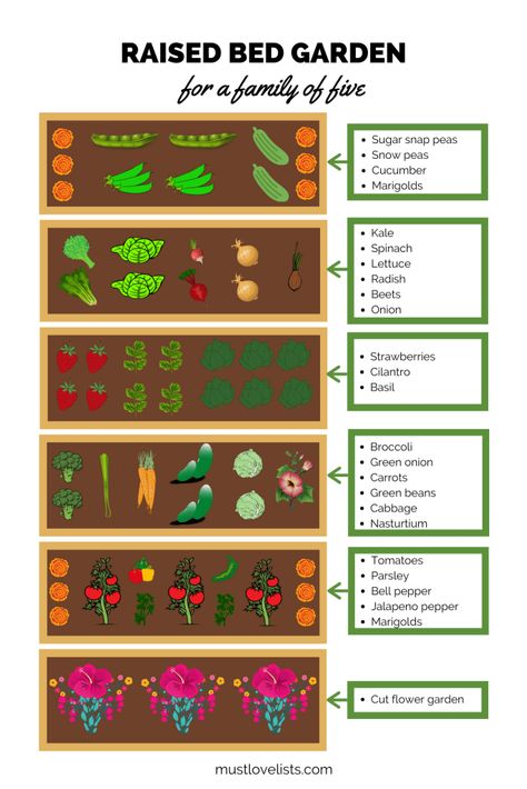 Garden Plot, Raised Garden Bed Plans, Raised Bed Garden, Vegetable Garden Raised Beds, Backyard Garden Layout, Garden Layout Vegetable, Vegetable Garden Planning, Homestead Gardens, Garden Plan